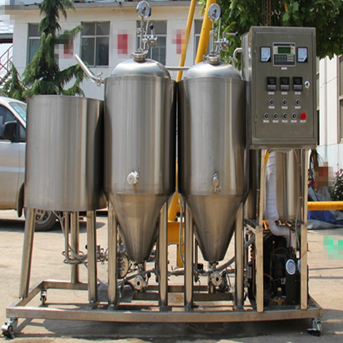 60L 100L mini brewing system for home bar