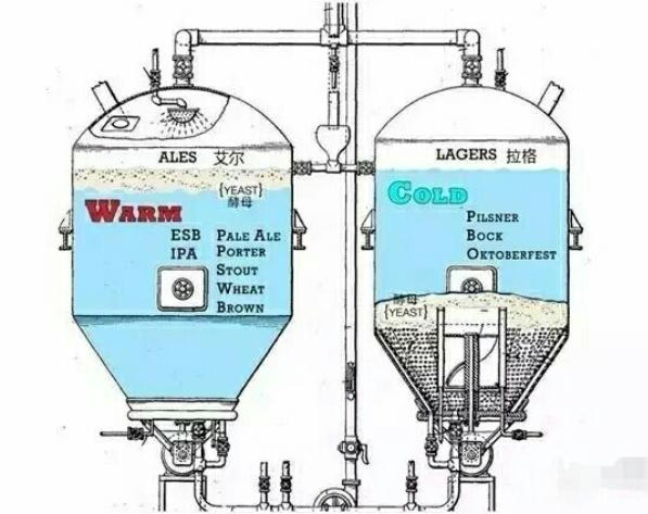 The difference between Lager and Ale brewing
